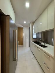 Residences @ Killiney (D9), Apartment #602743711